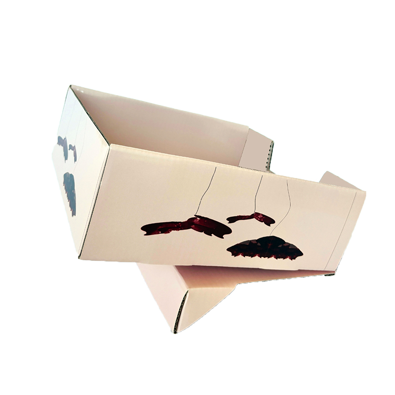 PDQ Pack Quick-Pack Caixa de papel de embalagem ambientalmente amigável, caixa de presente dobrável